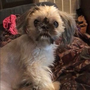 Meet your Posher, Kacy